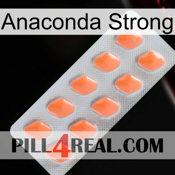 Anaconda Strong 26.jpg